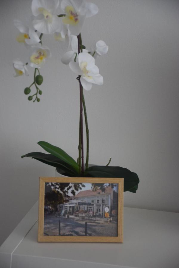 Feel Danube Apartment Zemun Exterior photo